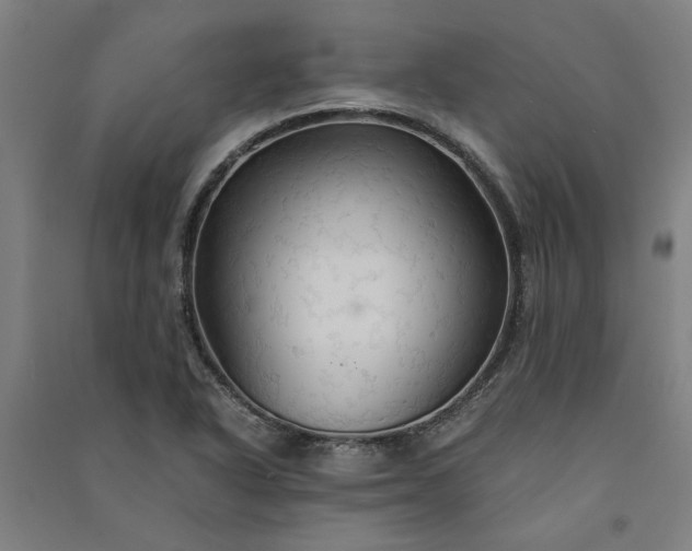 X0000091081318200708201424