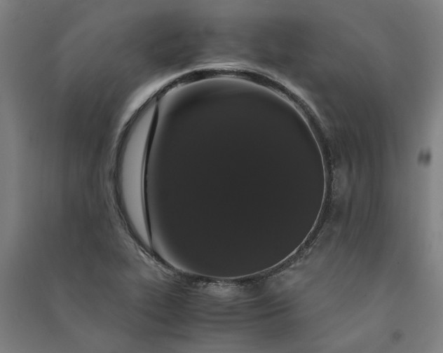 X0000091081319200708201424