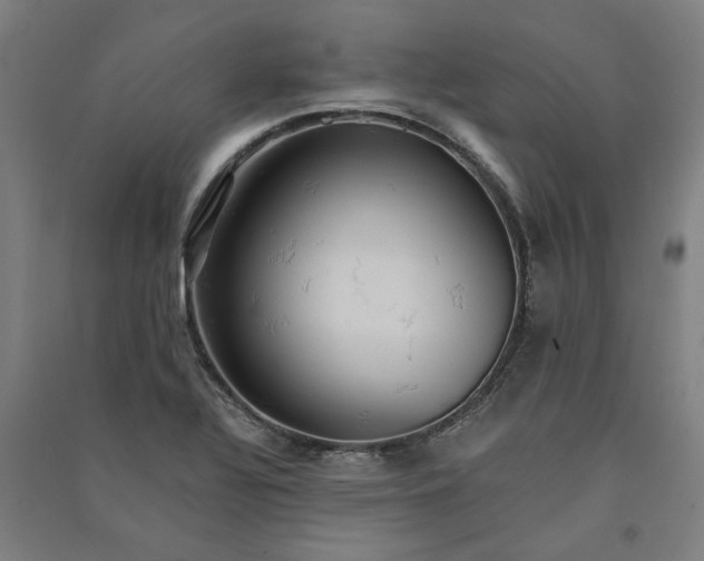 X0000091081320200708201424