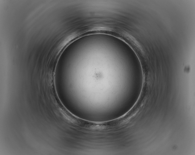 X0000091081321200708201424