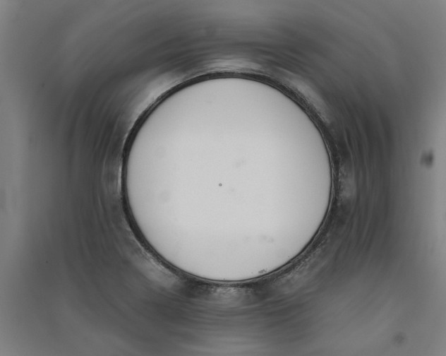 X0000091081322200708201424