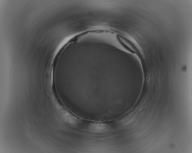 X0000091081323200708201424