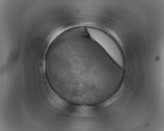 X0000091081324200708201424