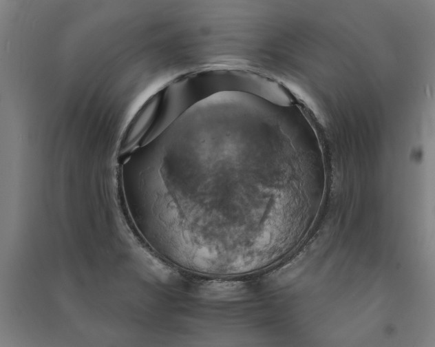 X0000091081325200708201424