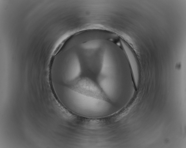 X0000091081326200708201424