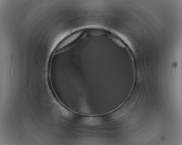 X0000091081327200708201424