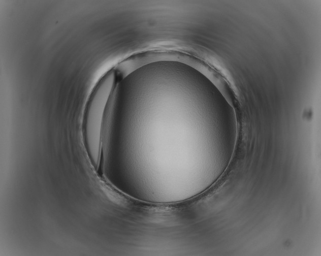 X0000091081328200708201424