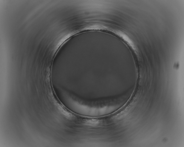 X0000091081329200708201424