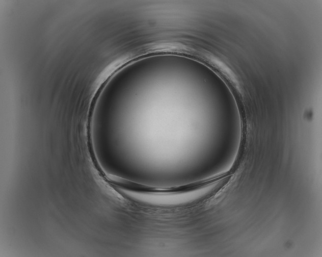 X0000091081330200708201424