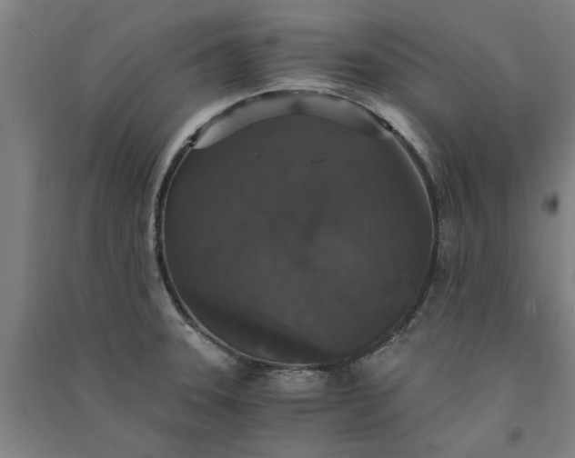 X0000091081331200708201424