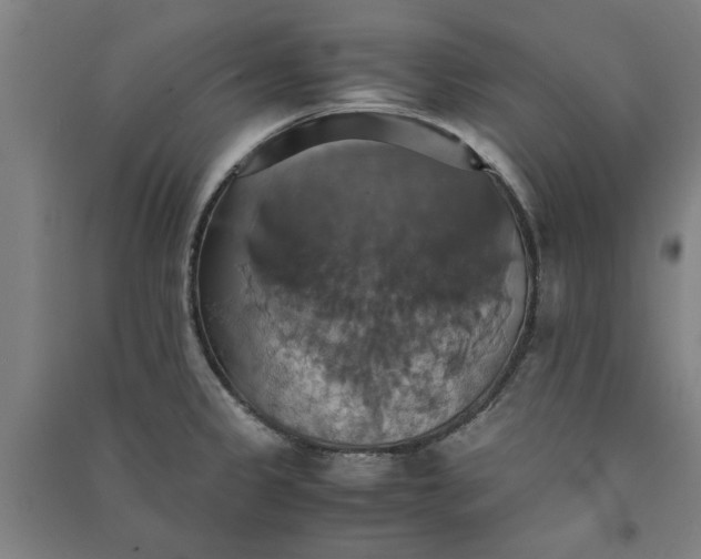 X0000091081333200708201424