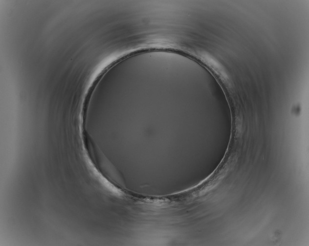 X0000091081334200708201424