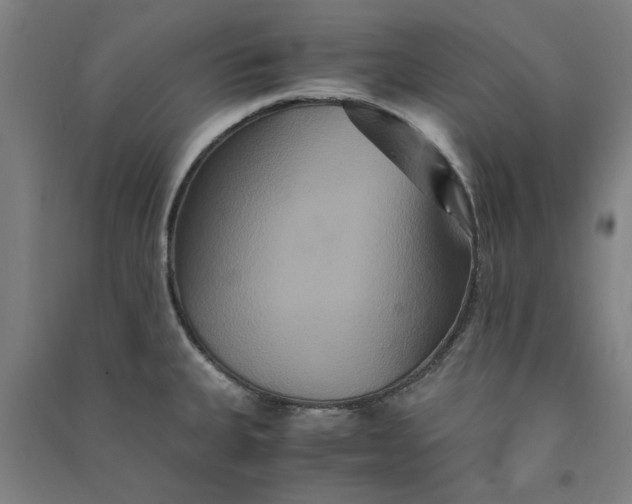 X0000091081335200708201424