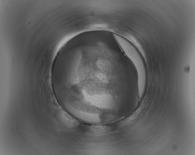 X0000091081336200708201424