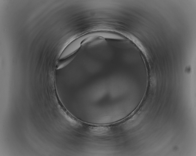 X0000091081337200708201424