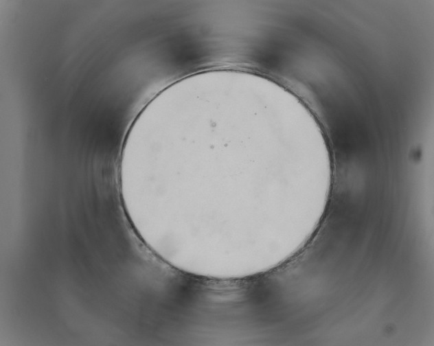 X0000091081338200708201424