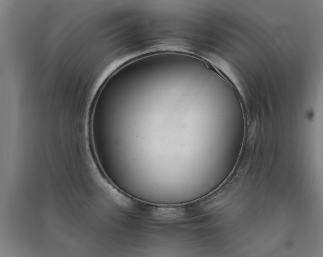 X0000091081339200708201424