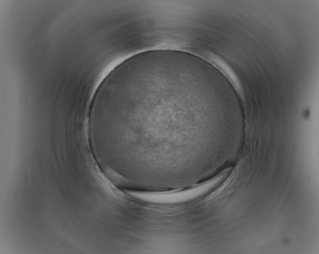 X0000091081340200708201424