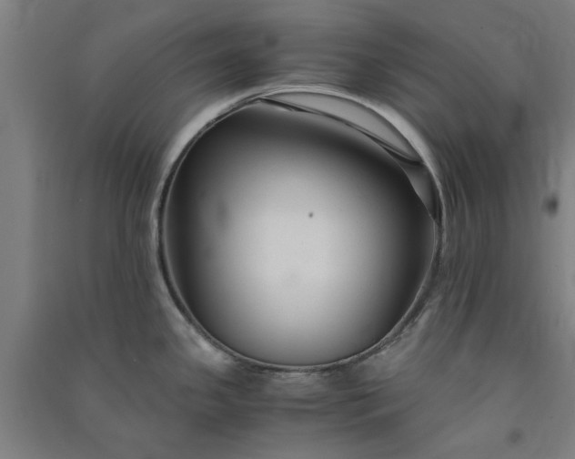 X0000091081341200708201424