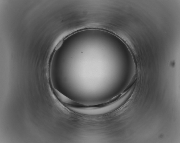 X0000091081342200708201424