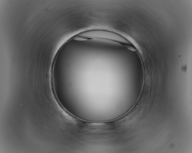 X0000091081343200708201424