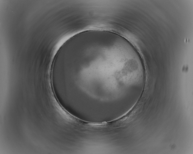 X0000091081344200708201424