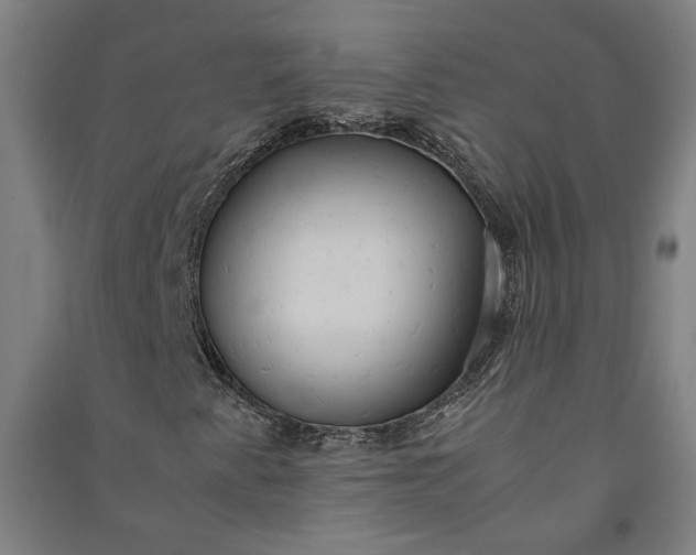 X0000091081345200708201424