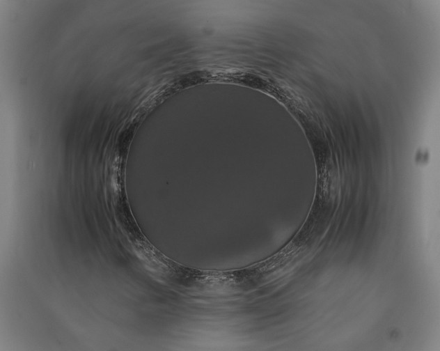 X0000091081346200708201424