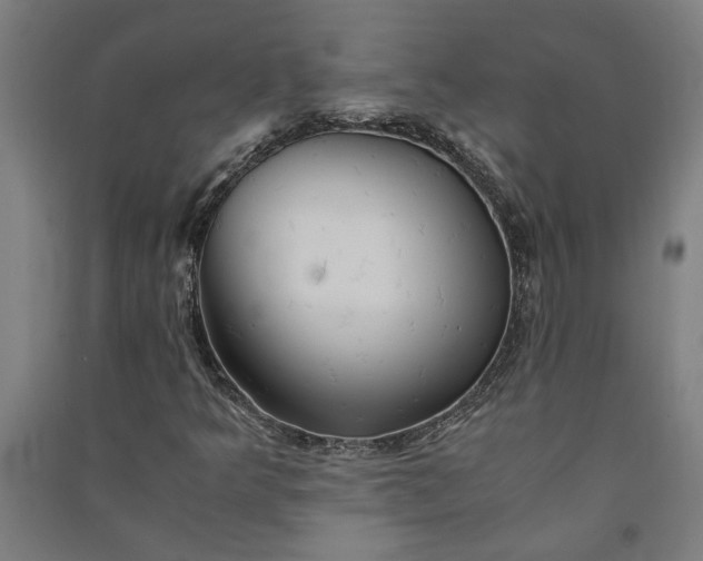 X0000091081349200708201424