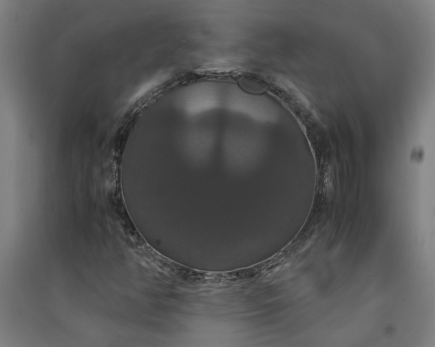 X0000091081350200708201424