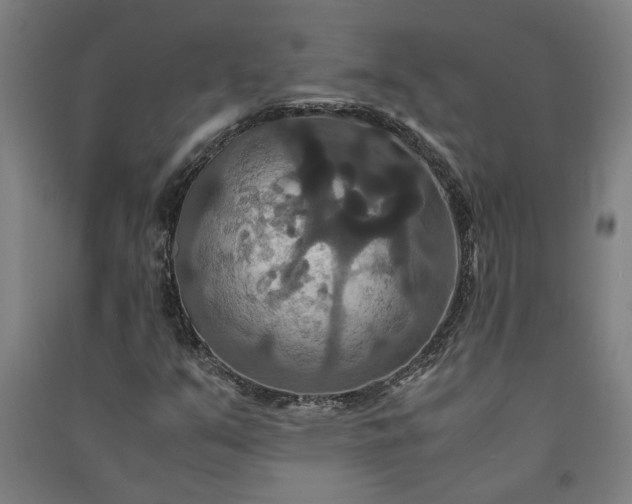 X0000091081351200708201424