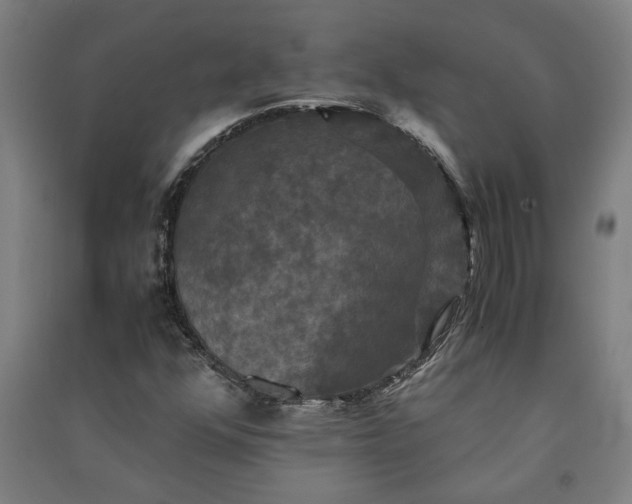 X0000091081352200708201424