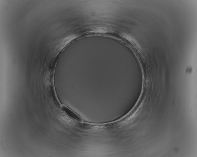 X0000091081353200708201424