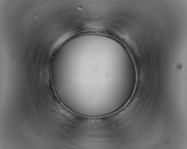 X0000091081354200708201424