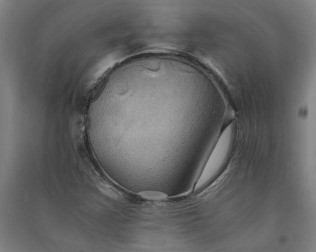 X0000091081355200708201424