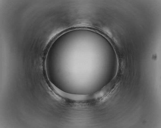 X0000091081356200708201424