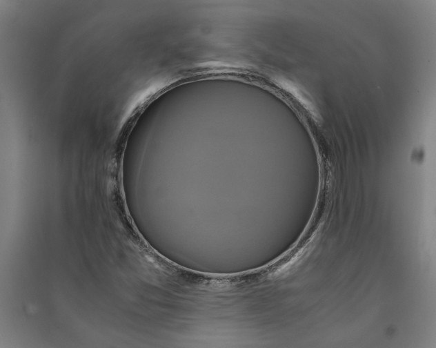 X0000091081357200708201424