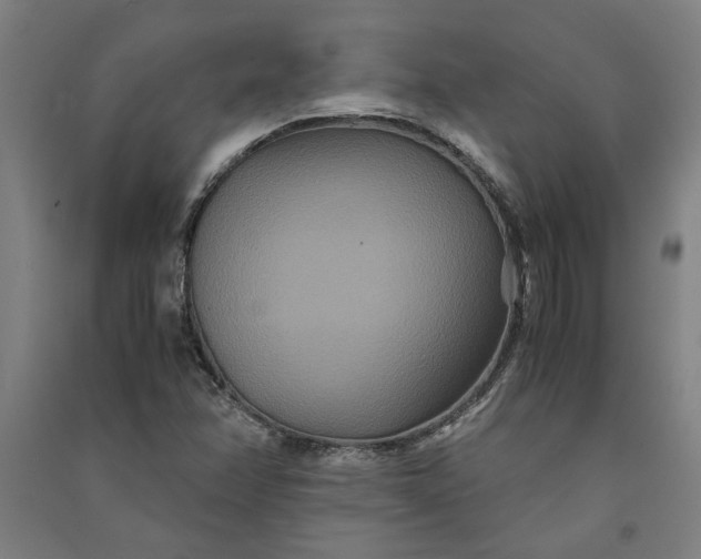 X0000091081358200708201424