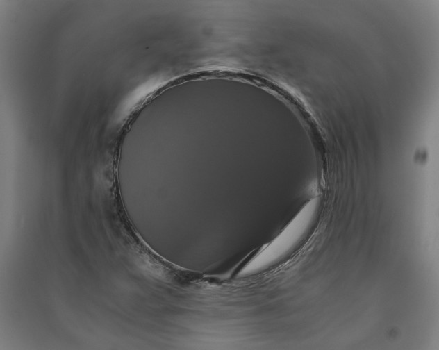 X0000091081359200708201424