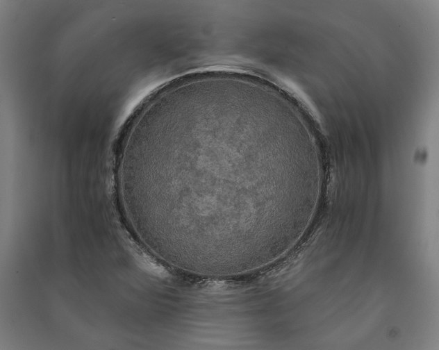 X0000091081360200708201423