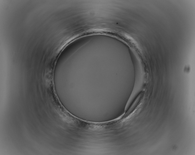 X0000091081361200708201423