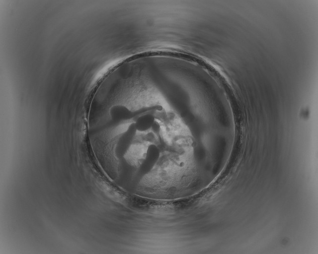 X0000091081363200708201423