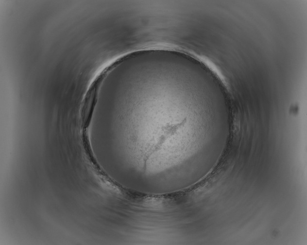 X0000091081364200708201423