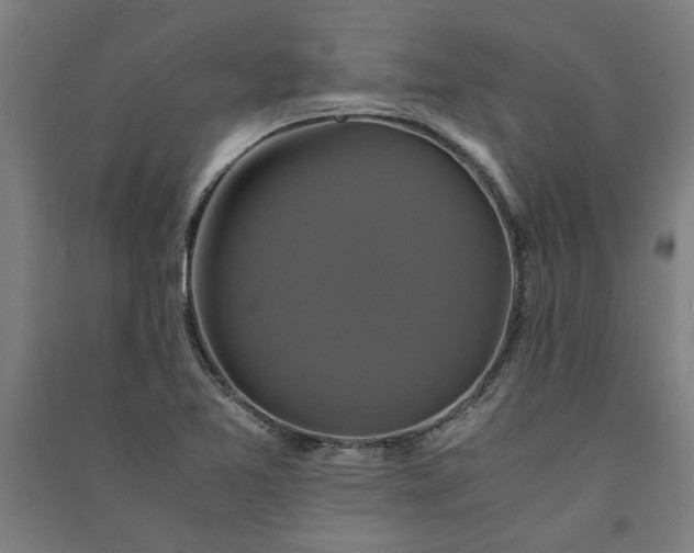 X0000091081365200708201423