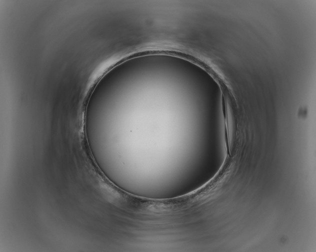 X0000091081366200708201423