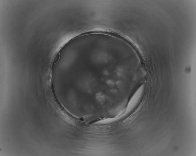 X0000091081367200708201423