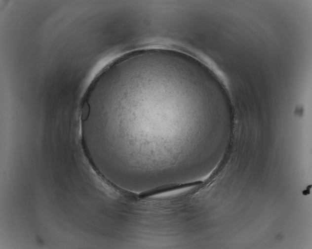 X0000091081368200708201423