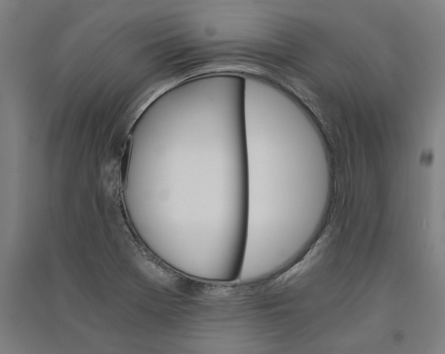 X0000091081369200708201423