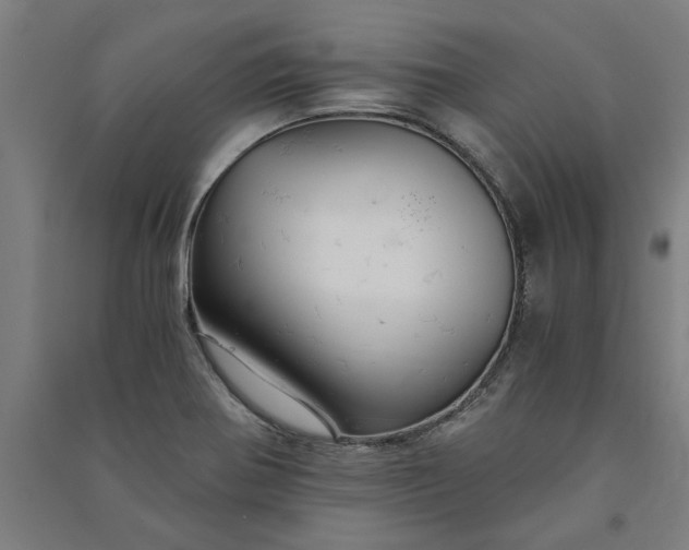 X0000091081370200708201423