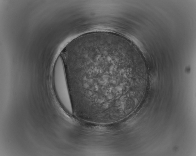 X0000091081371200708201423